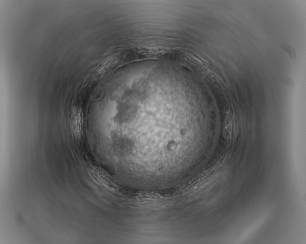 X0000112770866200908201505