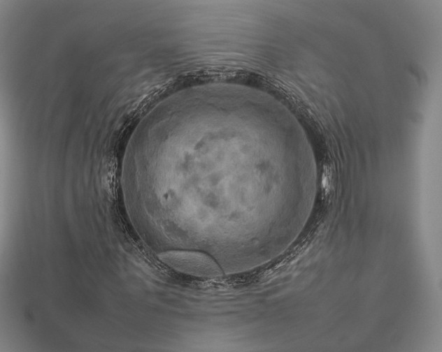 X0000112770867200908201505