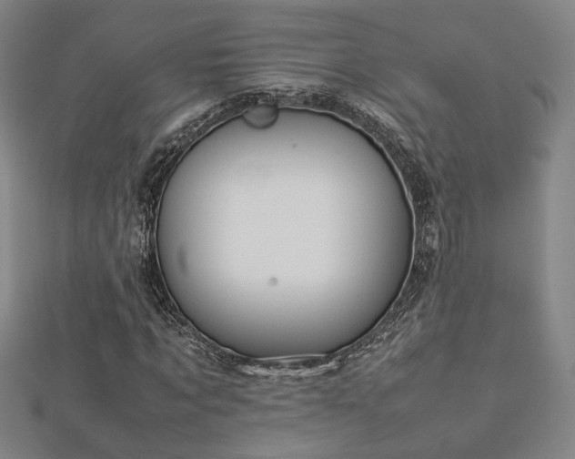 X0000112770869200908201505