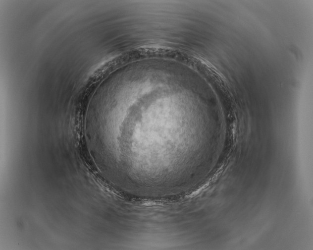 X0000112770870200908201505