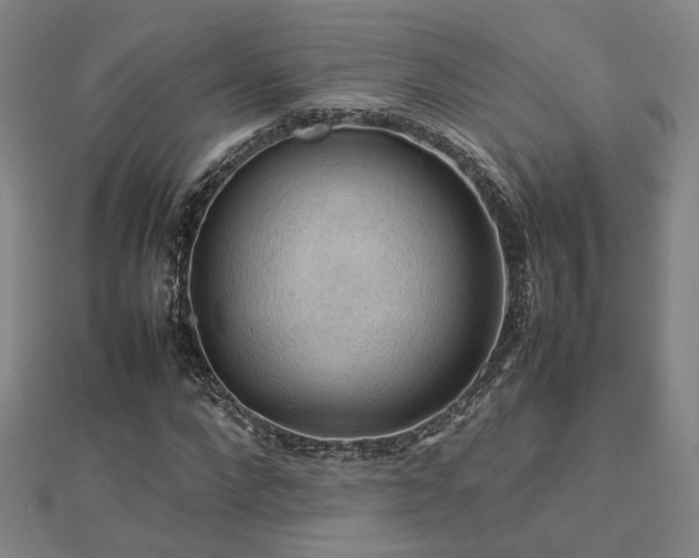 X0000112770872200908201505