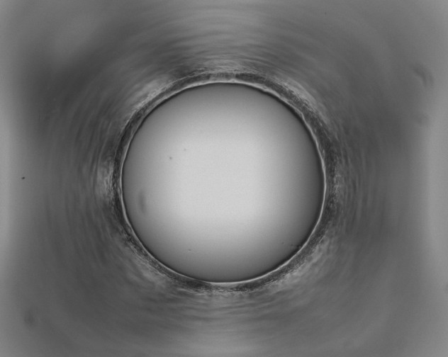 X0000112770873200908201505