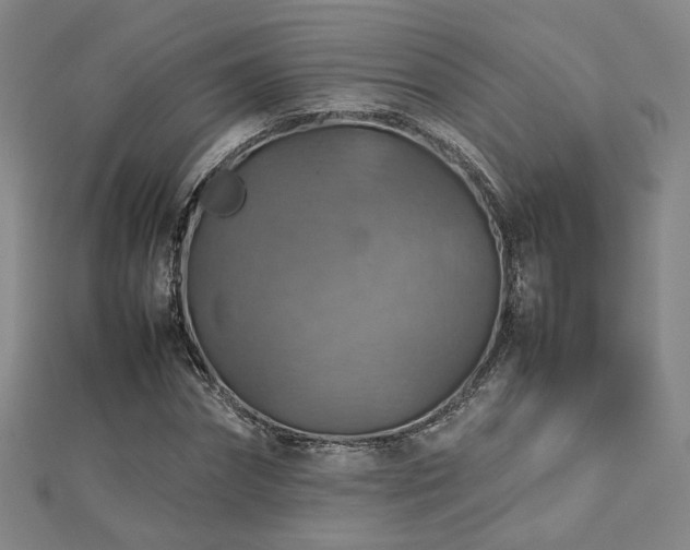 X0000112770874200908201505