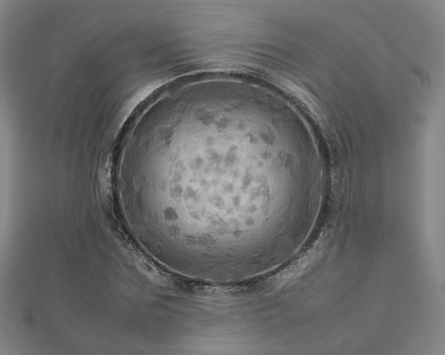 X0000112770875200908201505