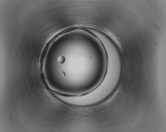 X0000112770876200908201505
