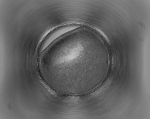 X0000112770878200908201505