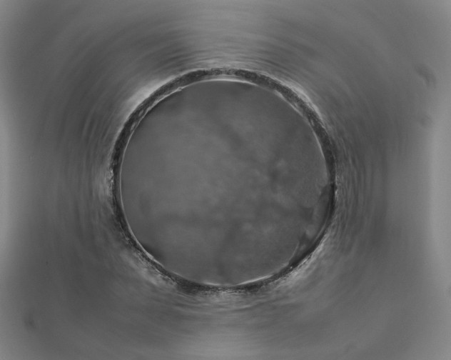 X0000112770879200908201505