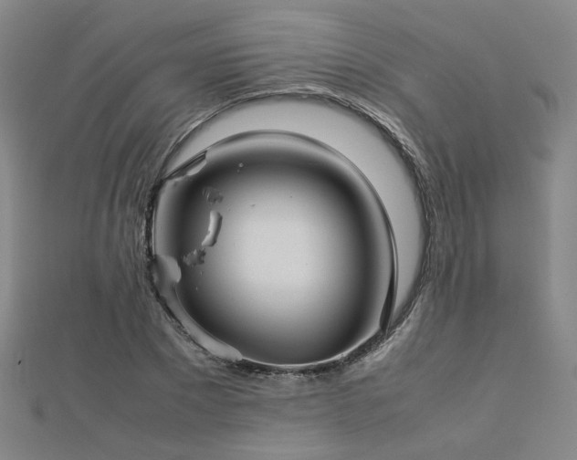 X0000112770881200908201505