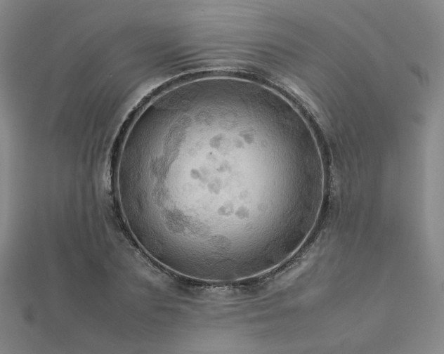 X0000112770883200908201505