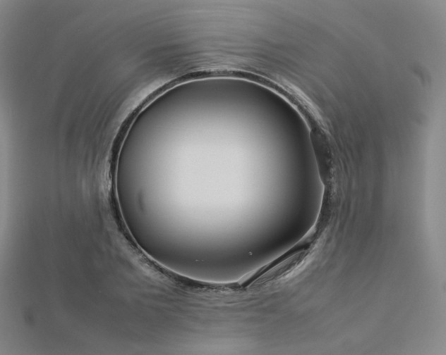 X0000112770885200908201505