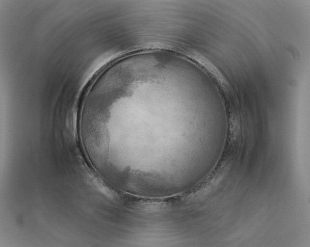 X0000112770886200908201505