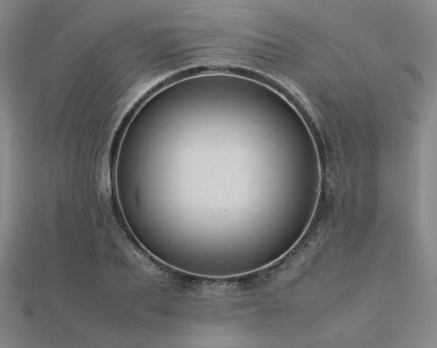 X0000112770887200908201505