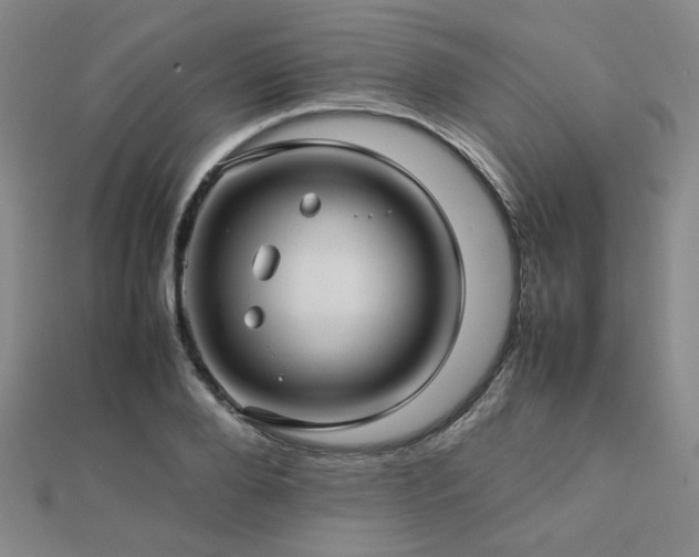 X0000112770888200908201505