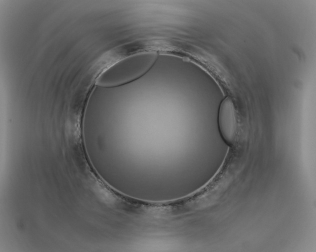 X0000112770889200908201505