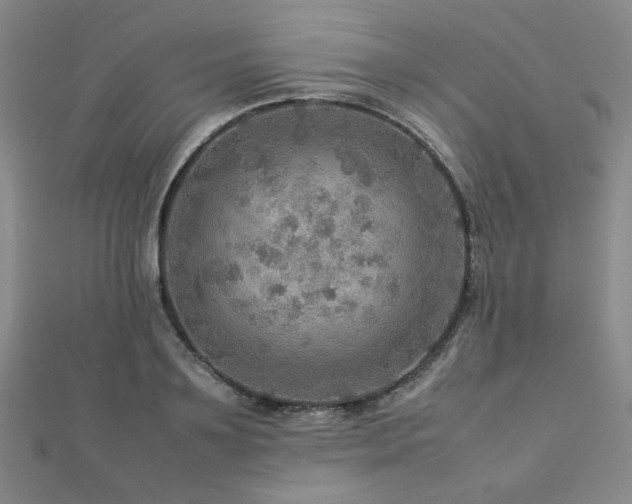 X0000112770891200908201505