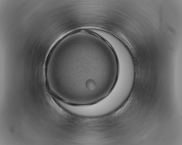 X0000112770892200908201505
