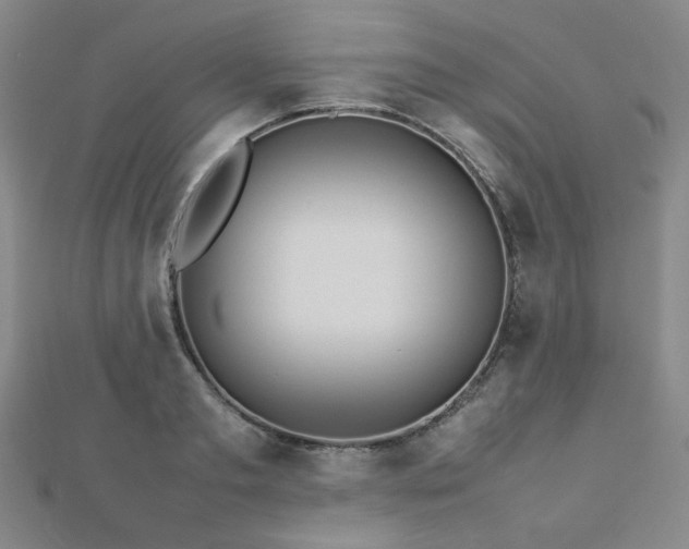 X0000112770893200908201505