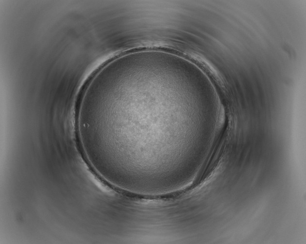 X0000112770894200908201505