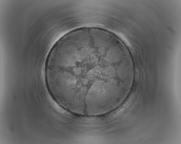 X0000112770895200908201505