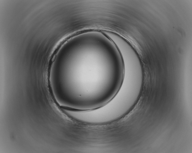 X0000112770896200908201505