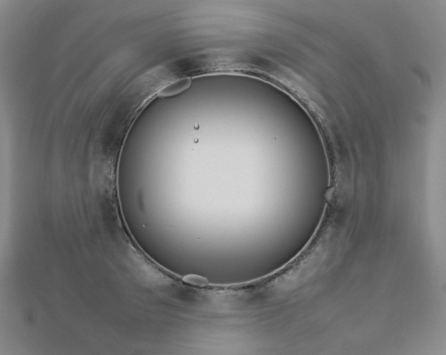 X0000112770897200908201504