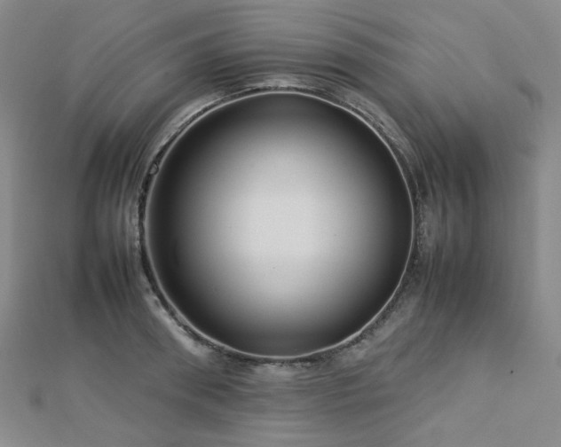 X0000112770898200908201504