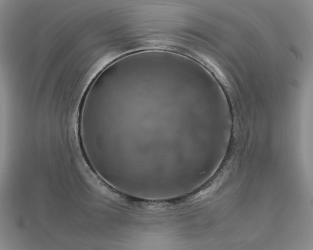 X0000112770899200908201504