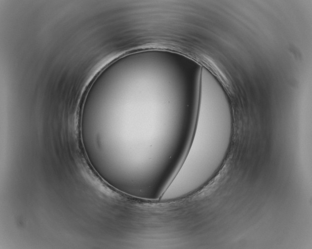 X0000112770900200908201504