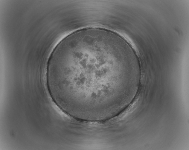 X0000112770903200908201504