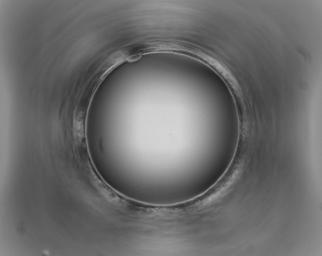 X0000112770905200908201504