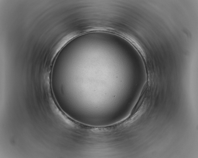 X0000112770906200908201504
