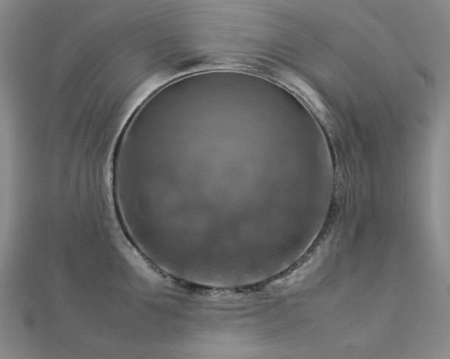 X0000112770907200908201504