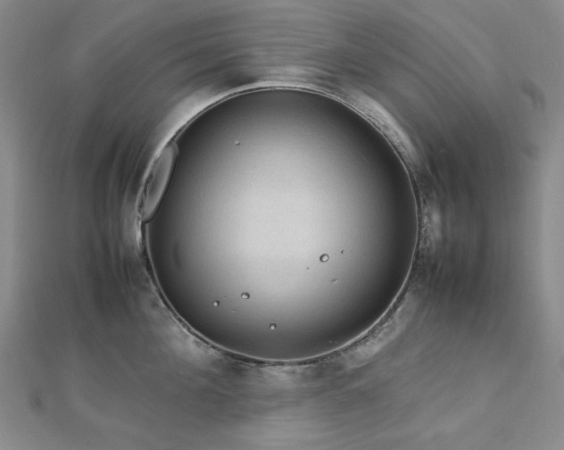 X0000112770908200908201504