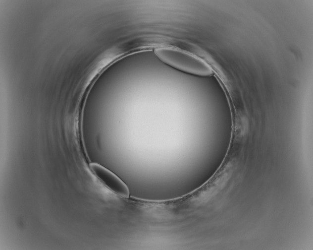 X0000112770909200908201504