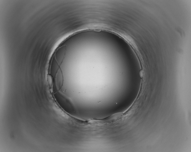 X0000112770912200908201504