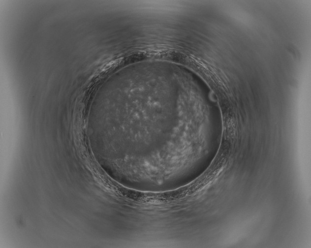 X0000112770913200908201504