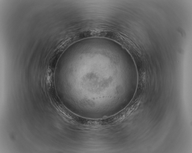 X0000112770914200908201504