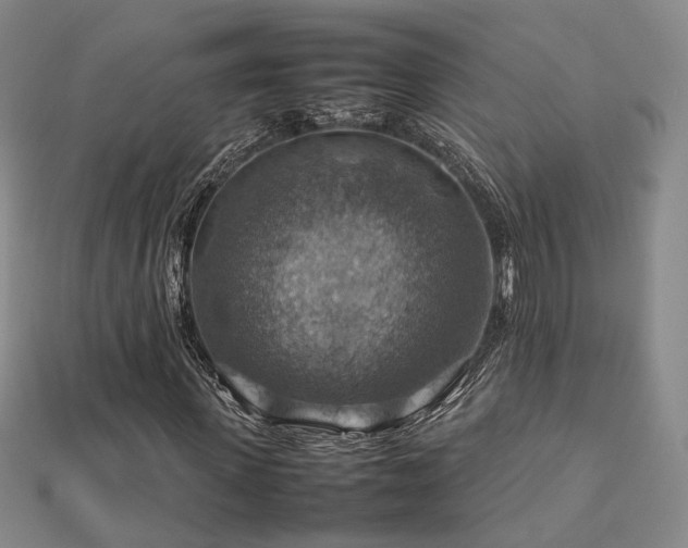 X0000112770915200908201504