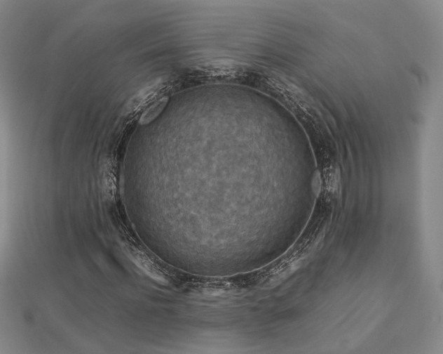X0000112770916200908201504