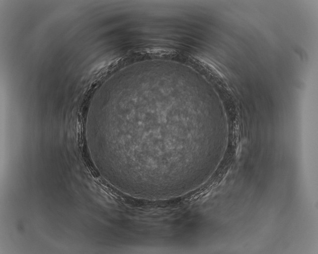 X0000112770917200908201504