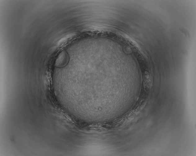 X0000112770918200908201504