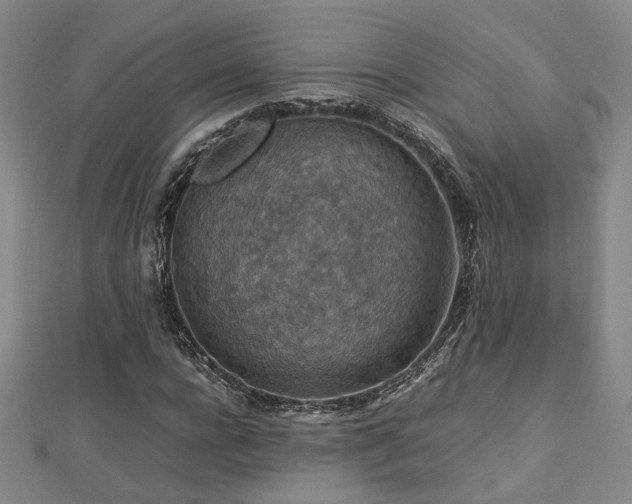 X0000112770920200908201504