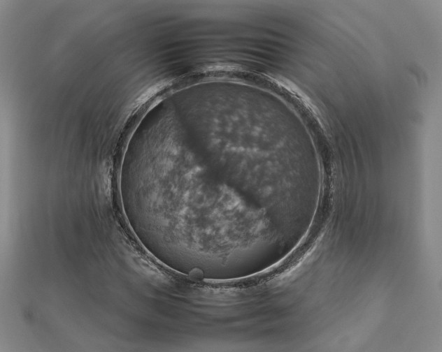X0000112770921200908201504