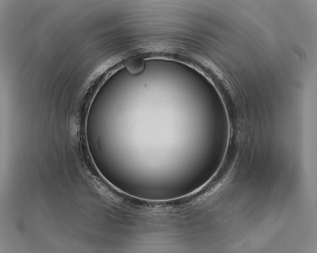 X0000112770922200908201504