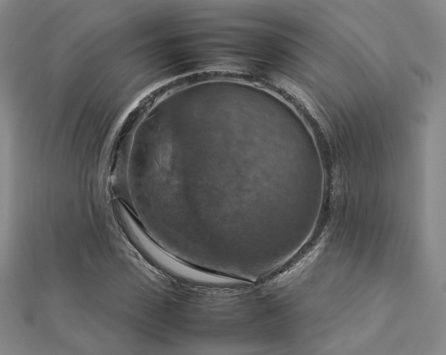 X0000112770923200908201504