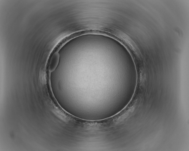 X0000112770924200908201504