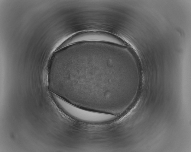 X0000112770925200908201504