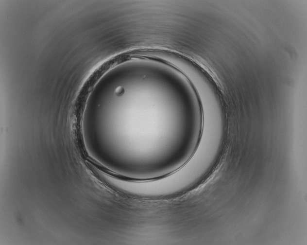 X0000112770926200908201504