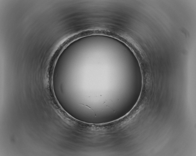 X0000112770927200908201504