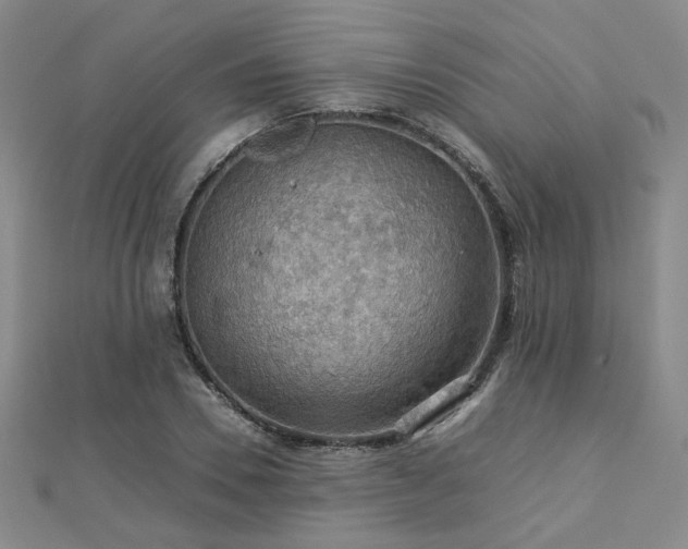 X0000112770930200908201504